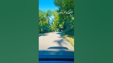 سورة التين بصوت يريح القلب | وَالتِّينِ وَالزَّيْتُونِ #القرآن #راحة_نفسية ‏ • #QuranTajweed