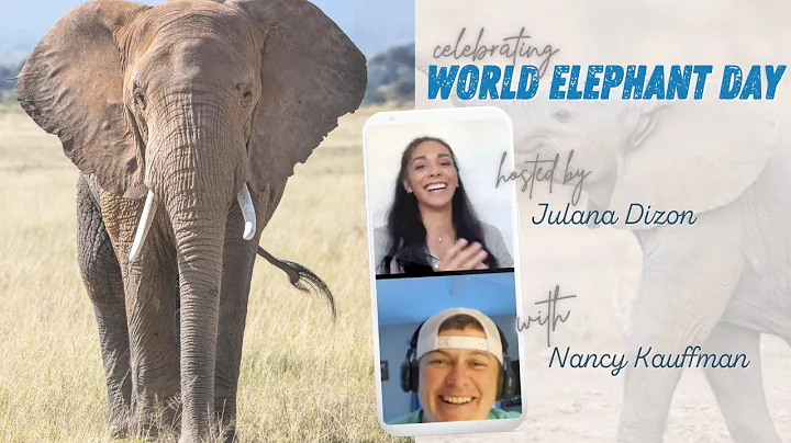 World Elephant Day!  Interview with Nancy Kauffman