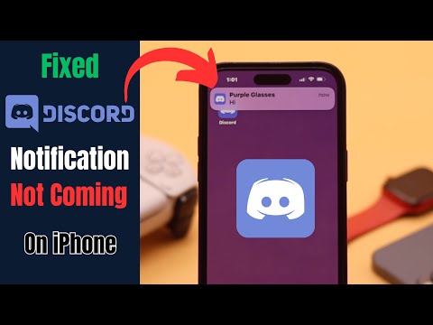 Discord Notification Not