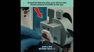 This Machine Cuts Human Tissue Thinner Than a Hair #science #facts