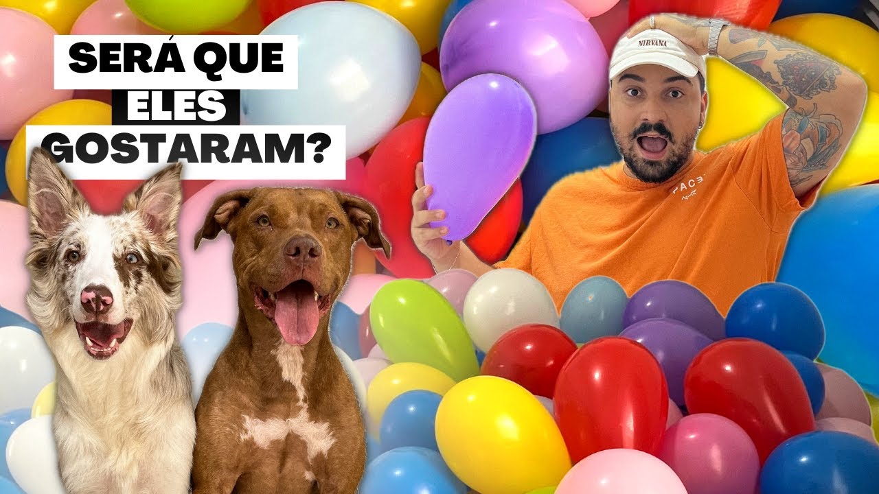 O Desafio Das 500 Bexigas | O Que Será Que Aconteceu?