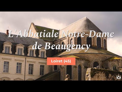 FOCUS SUR - L'Abbatiale Notre-Dame de Beaugency (45) - My Loire Valley