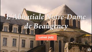 Focus Sur - Labbatiale Notre-Dame De Beaugency 45 - My Loire Valley