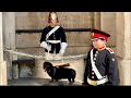 Famous boy logan and his cute dog visit the horse guards