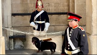 FAMOUS BOY LOGAN and His cute Dog Visit the horse Guards
