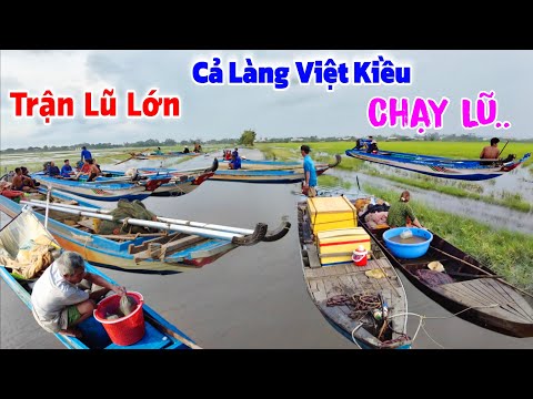Trận lũ lớn" cả làng Việt Kiều kéo hết vào đồng Mưu sinh đủ nghề 