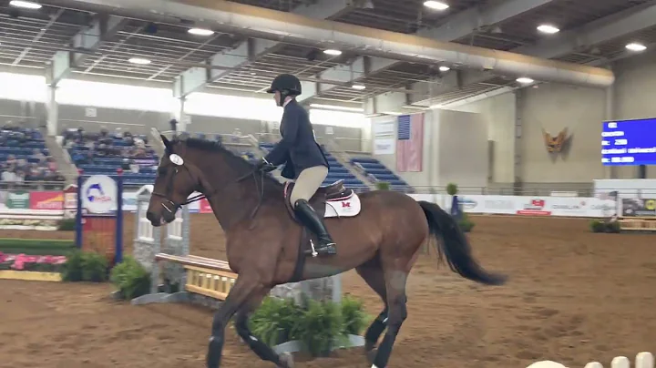 Nationals 2022 - Sara Hearn - Individual Open Fences