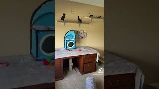 Sneak Peak Of My Finished Cat Studio