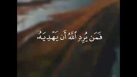 القارئ سعيد دباح/سورة الانعام/🌼