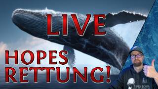 [DE] HOPE wird offiziell gerettet 💚🐳 | @News5de