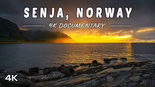 Senja Island, Norway - 4K Travel Documentary