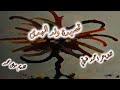 قصيدة ولد الهدى - للشاعر احمد شوقي