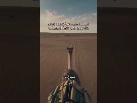 الشاعر علي سويدان العقيلي انها على الكذب ياعشاق حب السراب فمن تغدى بڪذبه ما تعشى بها إعجاب