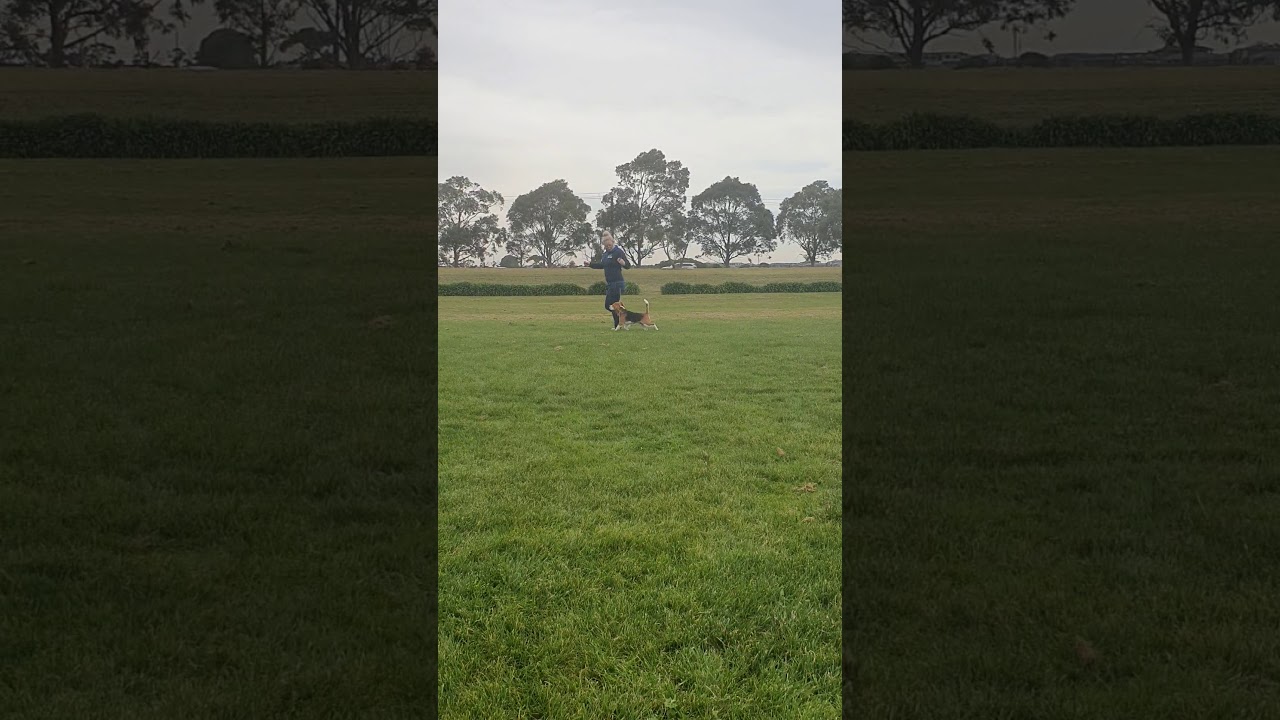 Manta dodge training