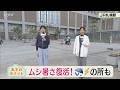あすの北海道…ムシ暑さ復活! 雷雨のところも【井坂予報士と油野アナのお天気ライフ】