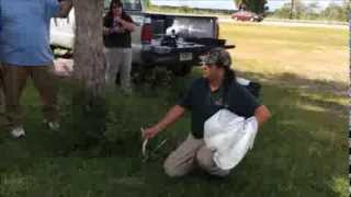 Solo Travel Girl Learns How to Bag a Burmese Python During FWC's 2016 Python Challenge Training
