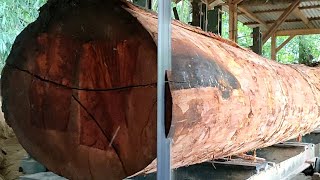 Wow, suddenly like an avocado boss, mahogany wood for 6 million, the process of sawing the sawmill