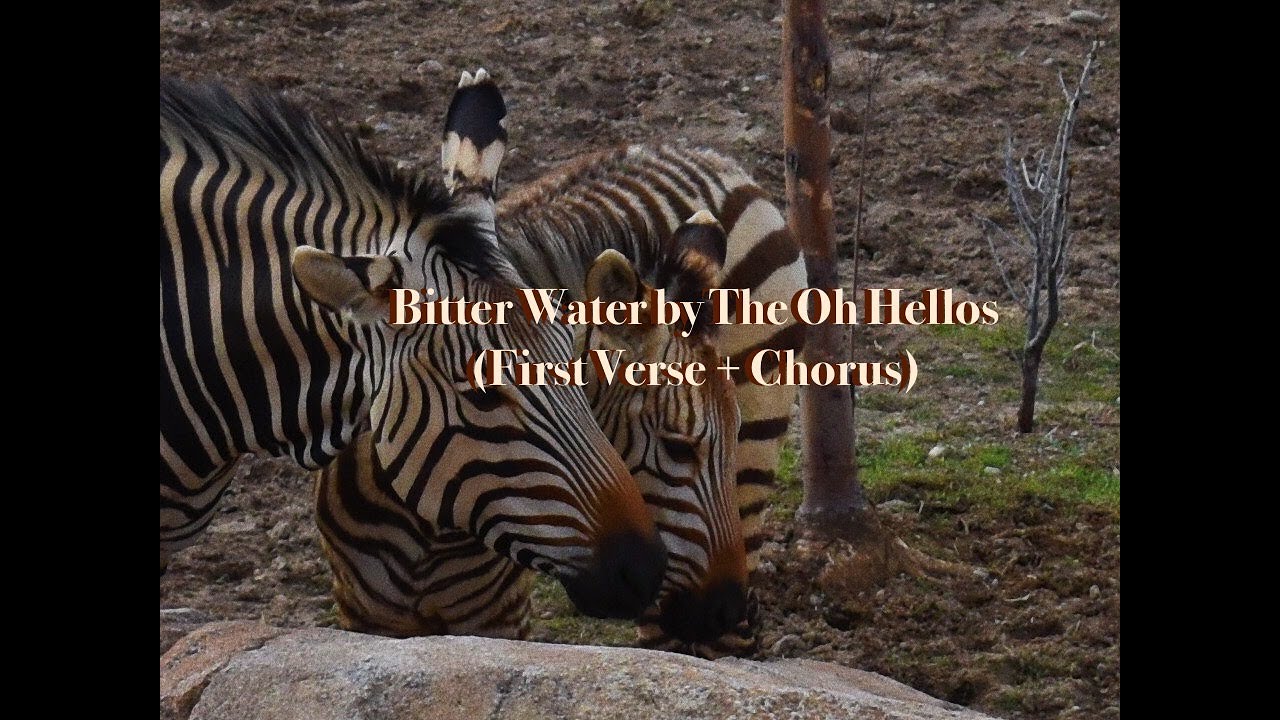 Bitter Water First Verse + Chorus Cover YouTube