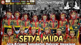 Download Lagu 🔥 BRODUT NEW SETYA MUDA LIVE KRICAAN SUMOKATON NGLUWAR MAGELANG  MP3