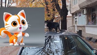 Many Cats Popping from Everywhere! 🐈🎥😻 by Exciting Cats 10 views 3 weeks ago 54 seconds