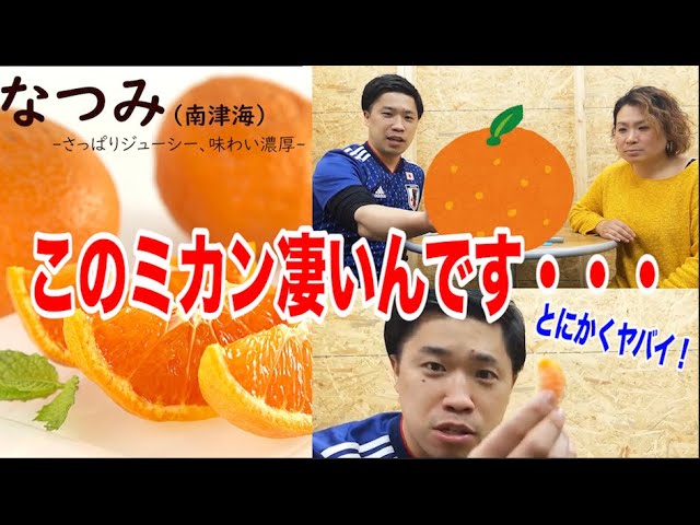 果物紹介】なつみって知ってますか？？普通のミカンじゃありません
