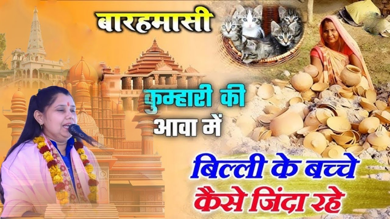 बारहमारी कुम्हारी की आबाज मे बिल्ली के बच्चे कैसे जिन्दा रहे // शास्त्री नीलम यादव शिकोहाबाद 