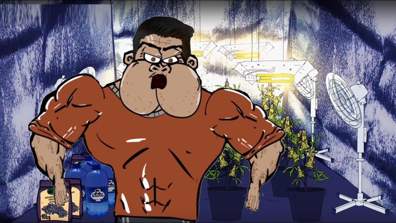 blok ekipa stulej youtube blok ekipa stulej youtube