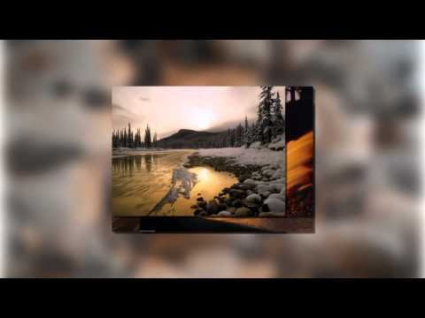 we've-come-to-praise-you