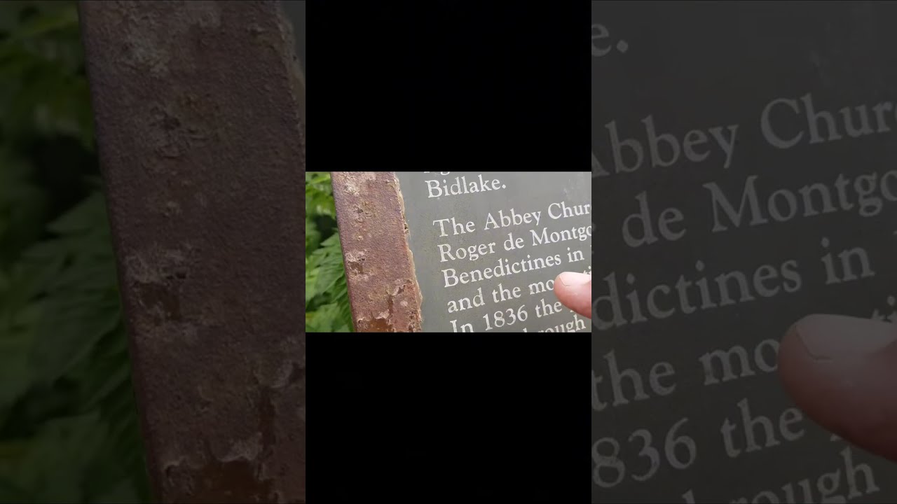 How was the bridge built in the 1800 a nature video 