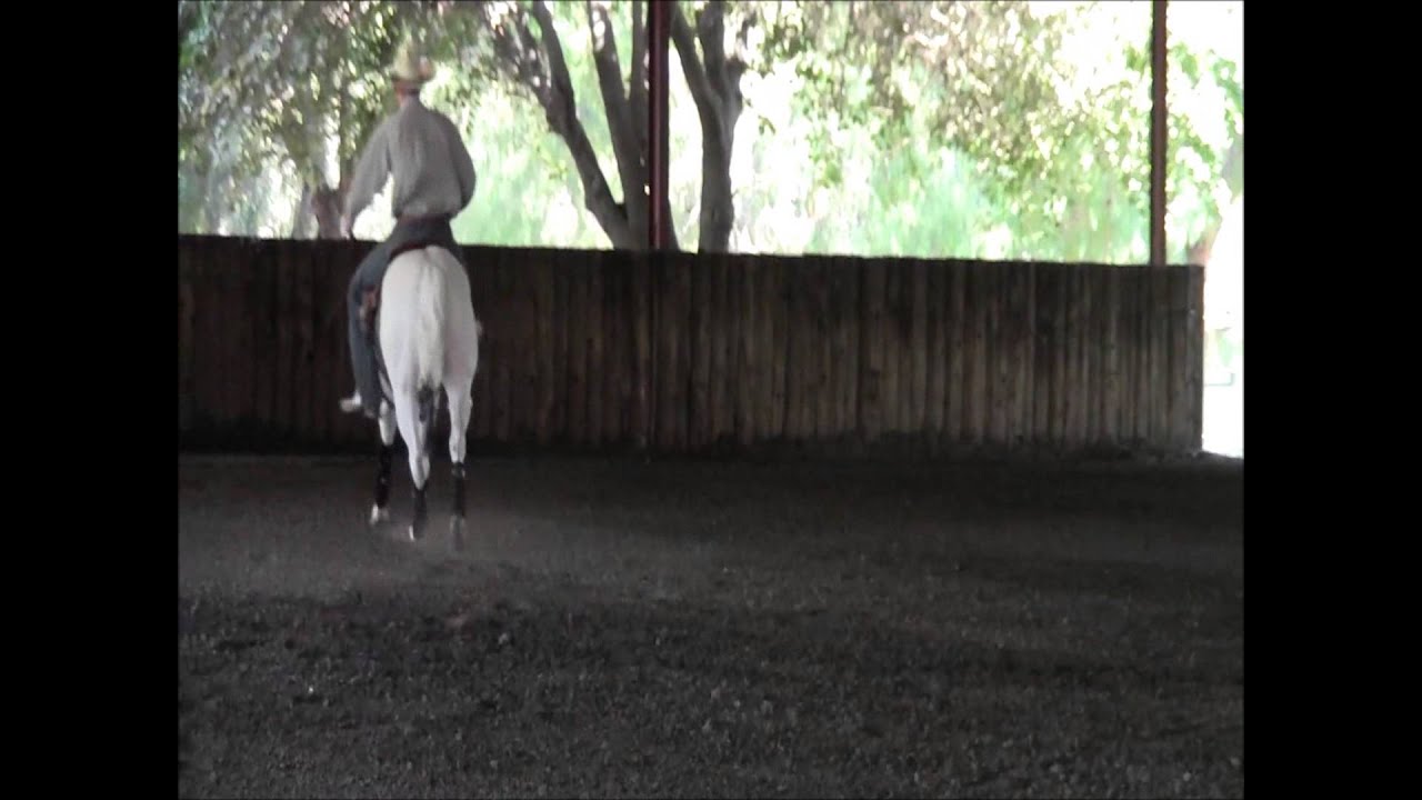 LEAD CHANGE/FLYING CHANGE DEMO Hopgood Think Horse YouTube