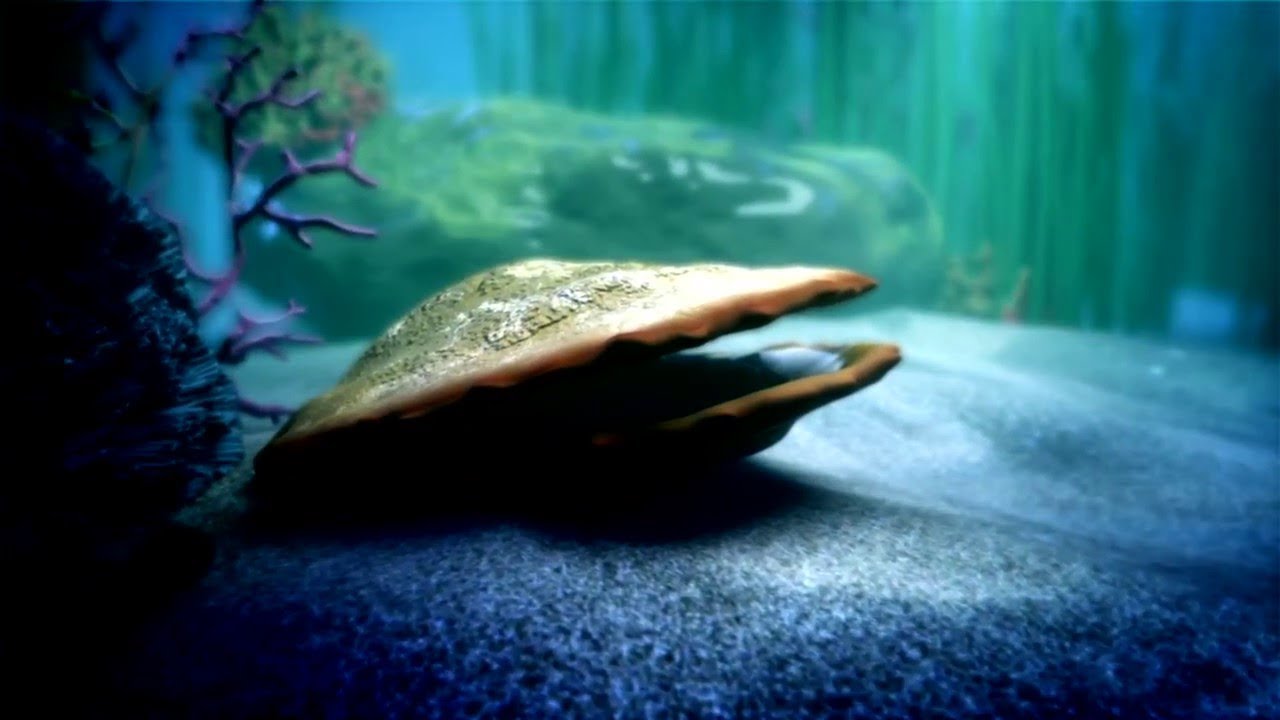 POUČNA PRIČA O BISERU || dr. Safet Kuduzović