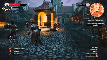 The Witcher 3: Wild Hunt First Person Glitch