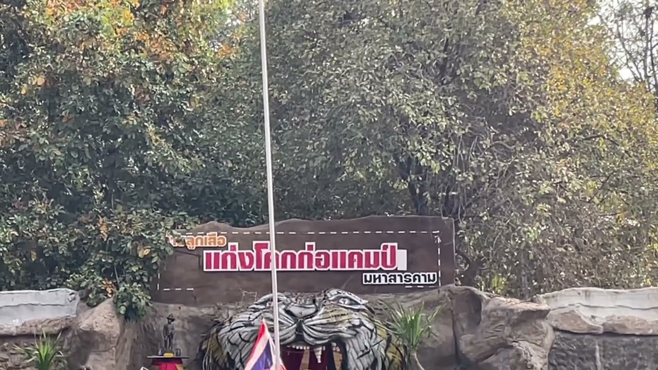 กิจกรรมเข้าค่ายลูกเสือ #โคกก่อแคมป์