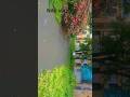 Beautiful View Of Nitk Surathkal Ytshorts Nitk Surathkal Nature 