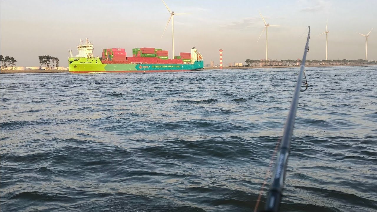 Zeebaars sessie augustus 2025 veel scholen baarsjes