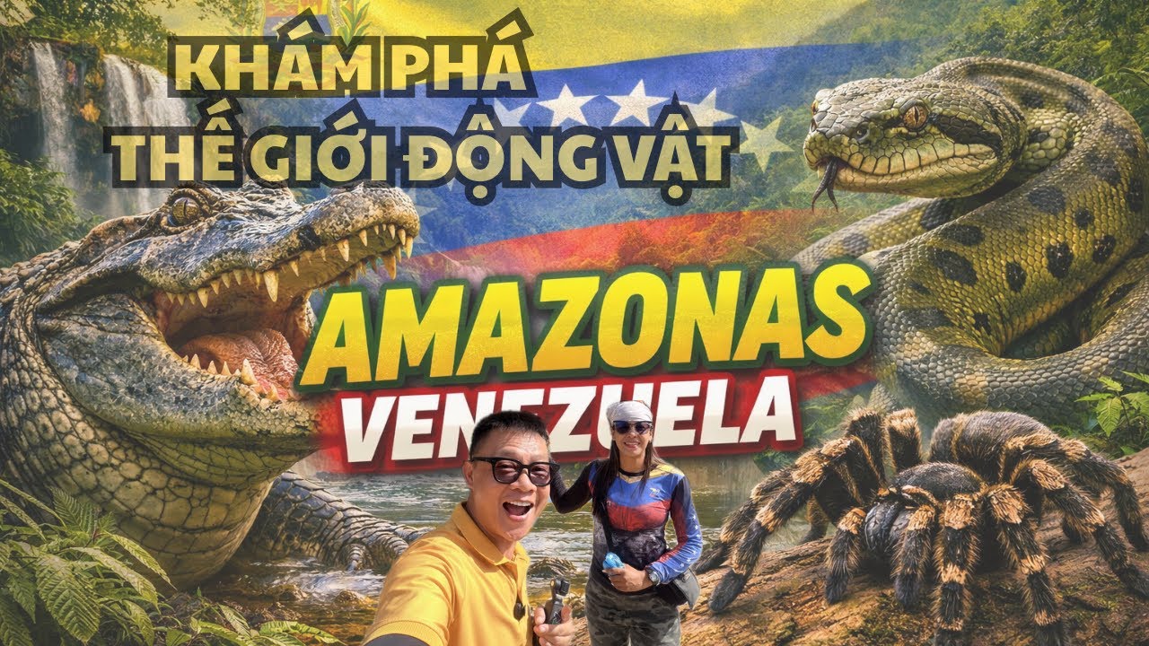 Khám phá THẾ GIỚI ĐỘNG VẬT Ở AMAZONAS - VENEZUELA