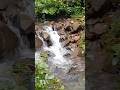 ନୀଳଗିରି ପାହାଡର ଝରଣା #nature #song #jungle boy lifestyle #shortvideo