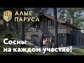 Алые паруса - Дзержинск - свой дом и участок в сосновом лесу