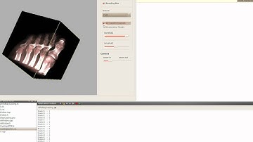 GPU based Ray Casting.avi