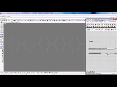 Parametric path
