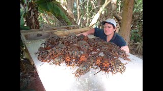 Setting Cray Pots On Pitcairn Island 2024
