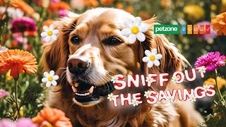Big Savings On Dog Food This Spring Petzone Promotions