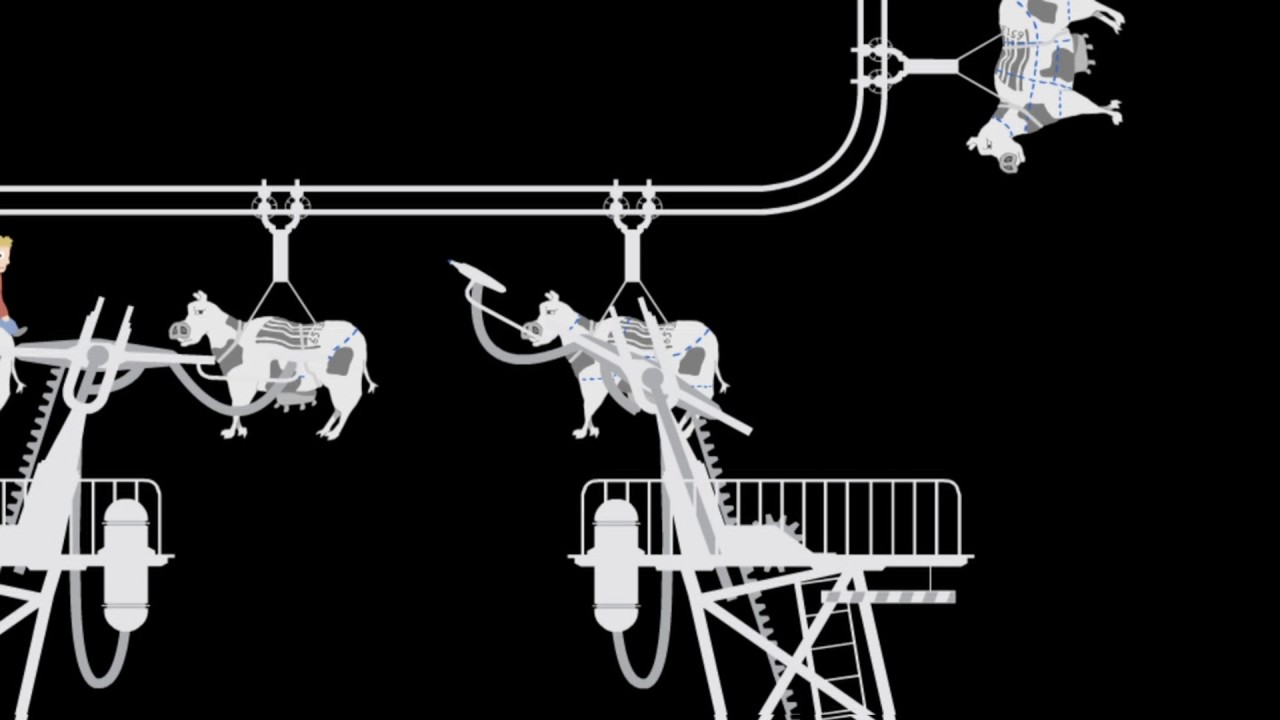 Meat Reducer YouTube