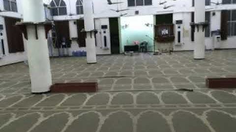 القارئ وليد الطحامي من سورة الاعراف