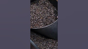 From coffee grains to granular samples 🎹☕ #shorts #granular #synthesis