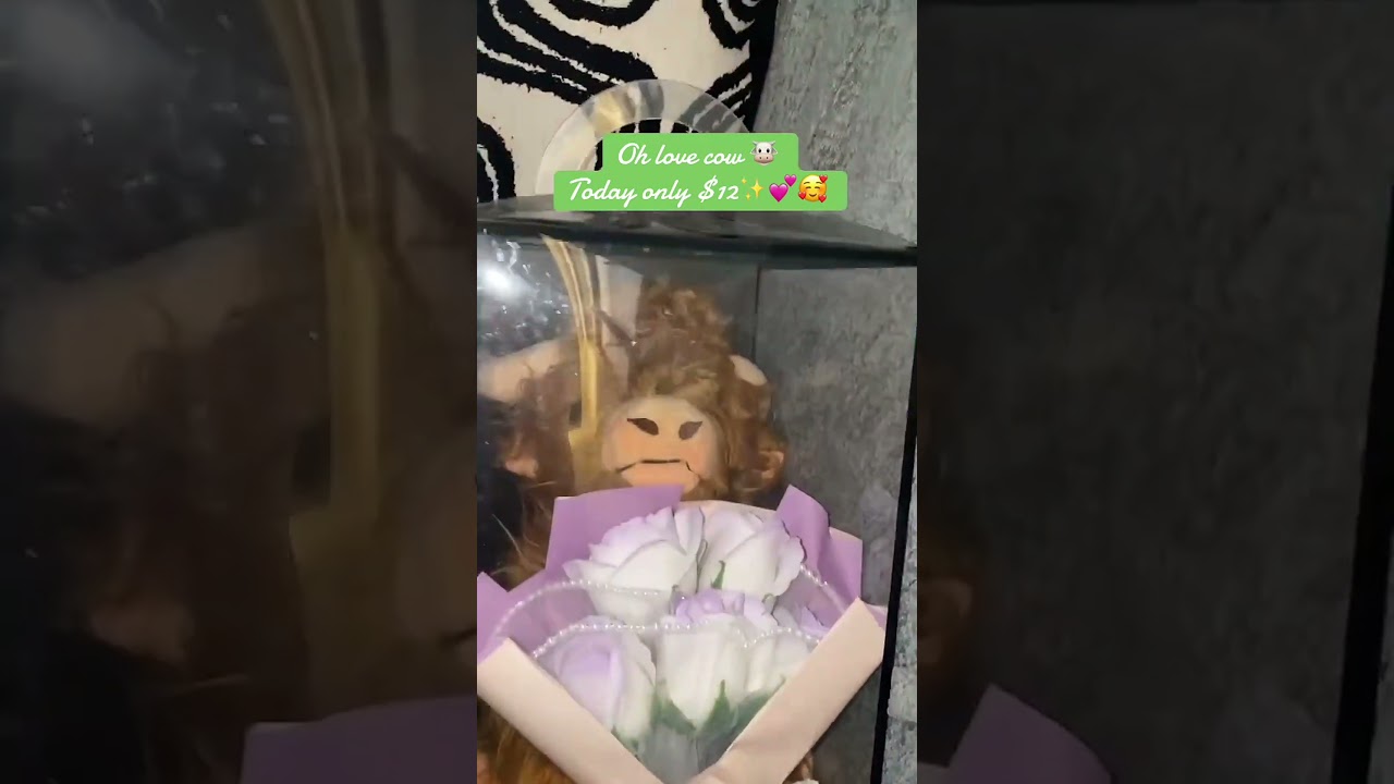 Only $12 Today! Adorable Highland Cow Plush Toy 