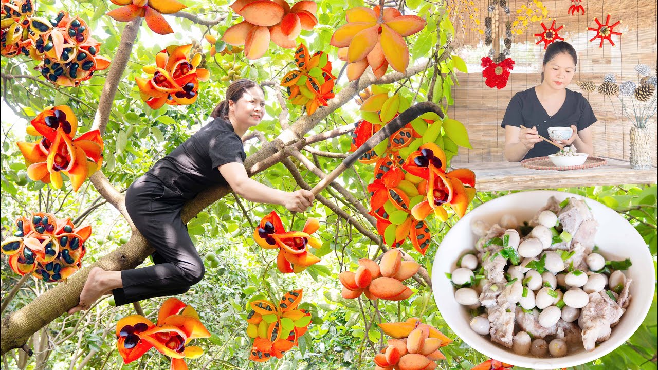 Harvesting Chicken Gizzard Fruits| Goes to market sell | How to make fantastic soup with pork ribs.