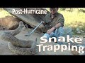 Snake Trapping -Post-Hurricane Urban-