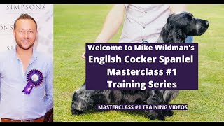 English Cocker Spaniel Masterclass #1 Trail by Mike Wildman 485 views 2 years ago 37 seconds