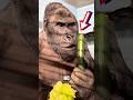 GORILLA eats like a gentleman #shorts